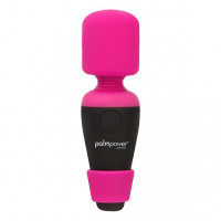 Swan Palm Power Pocket Rechargeable Massager